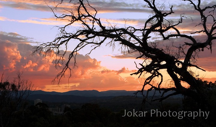 Red Hill_20060216_051.jpg - Red Hill sunset, Canberra, ACT